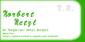 norbert metzl business card